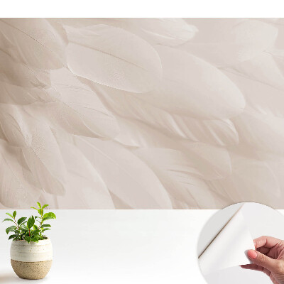 Tapeta Jemné peří, harmonické složení