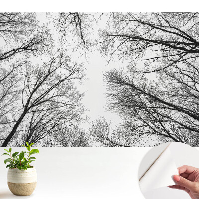 Tapeta na zeď Černobílé zimní stromy