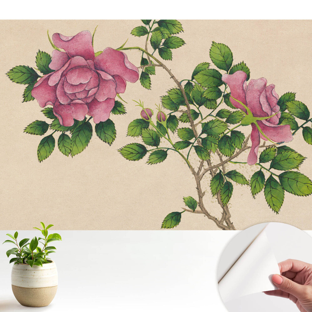 Tapeta Růžová krása v klasickém stylu