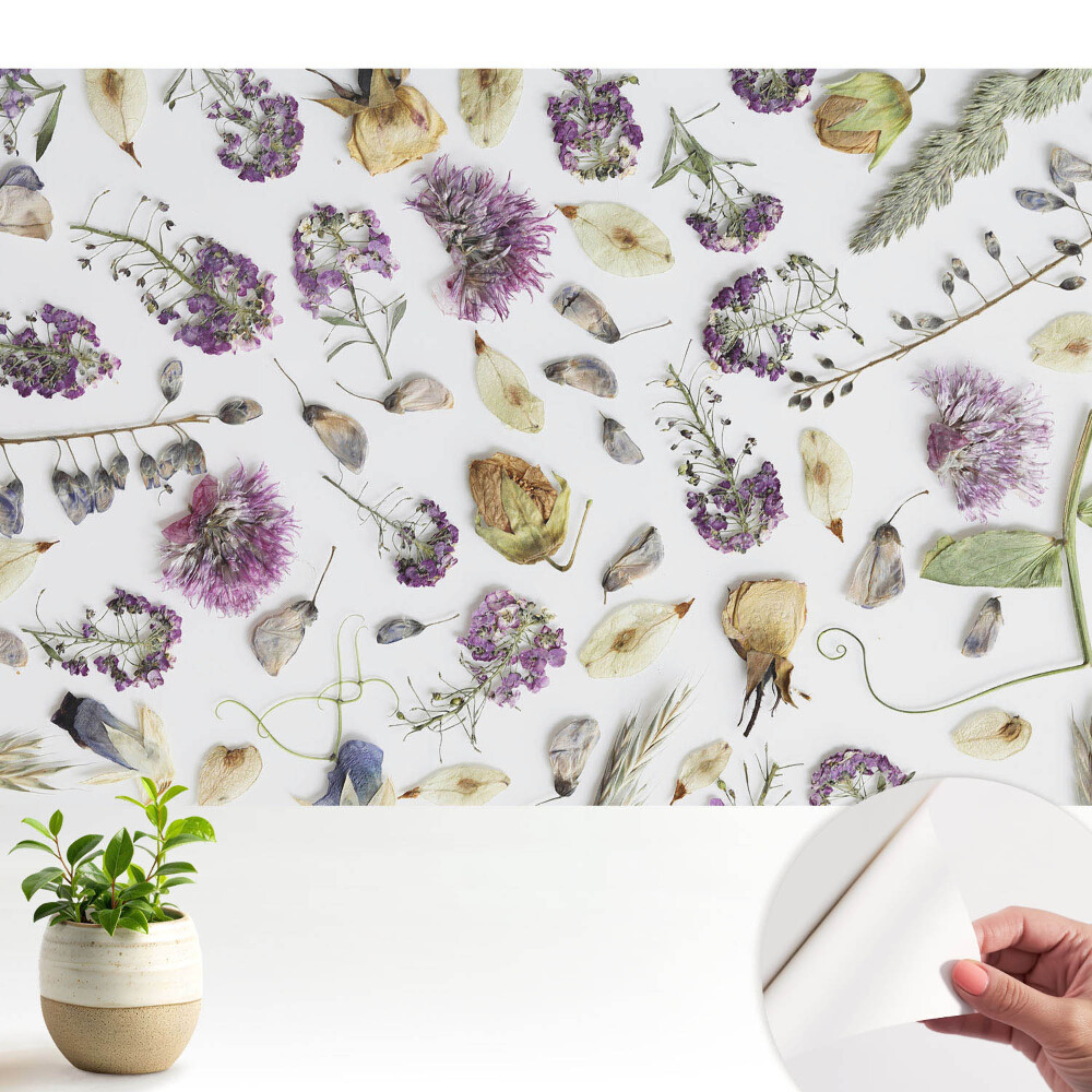 Tapeta do obyvaku Sušené květiny na bílém pozadí