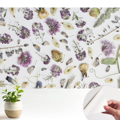 Tapeta do obyvaku Sušené květiny na bílém pozadí