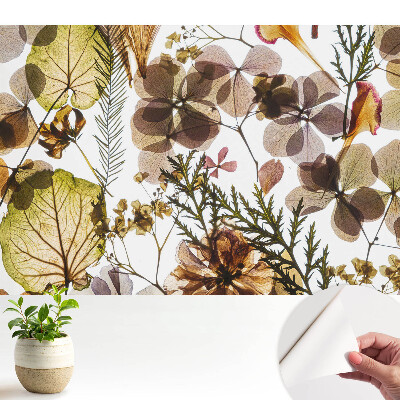 Tapeta do obyvaku Sušené listy a květiny v boho stylu