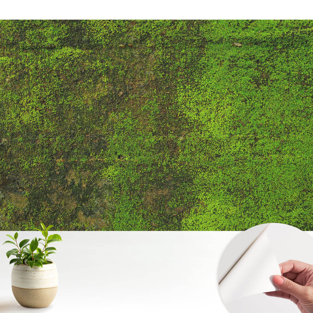 Tapeta na zeď Mech organická textura