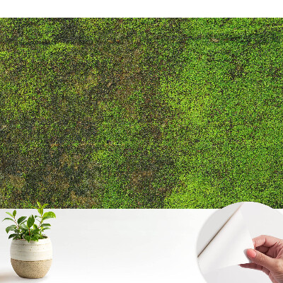 Tapeta na zeď Mech organická textura