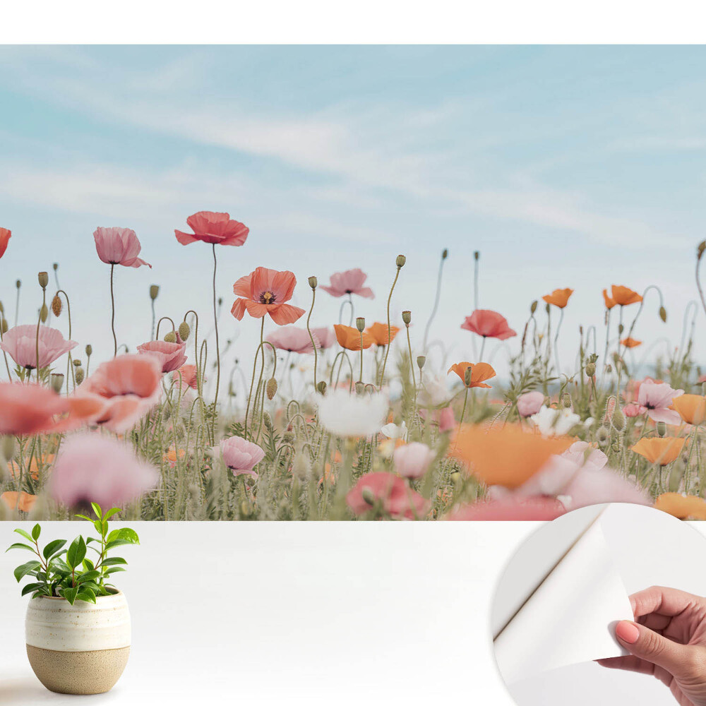 Tapeta do obyvaku Barevné máky proti modré obloze