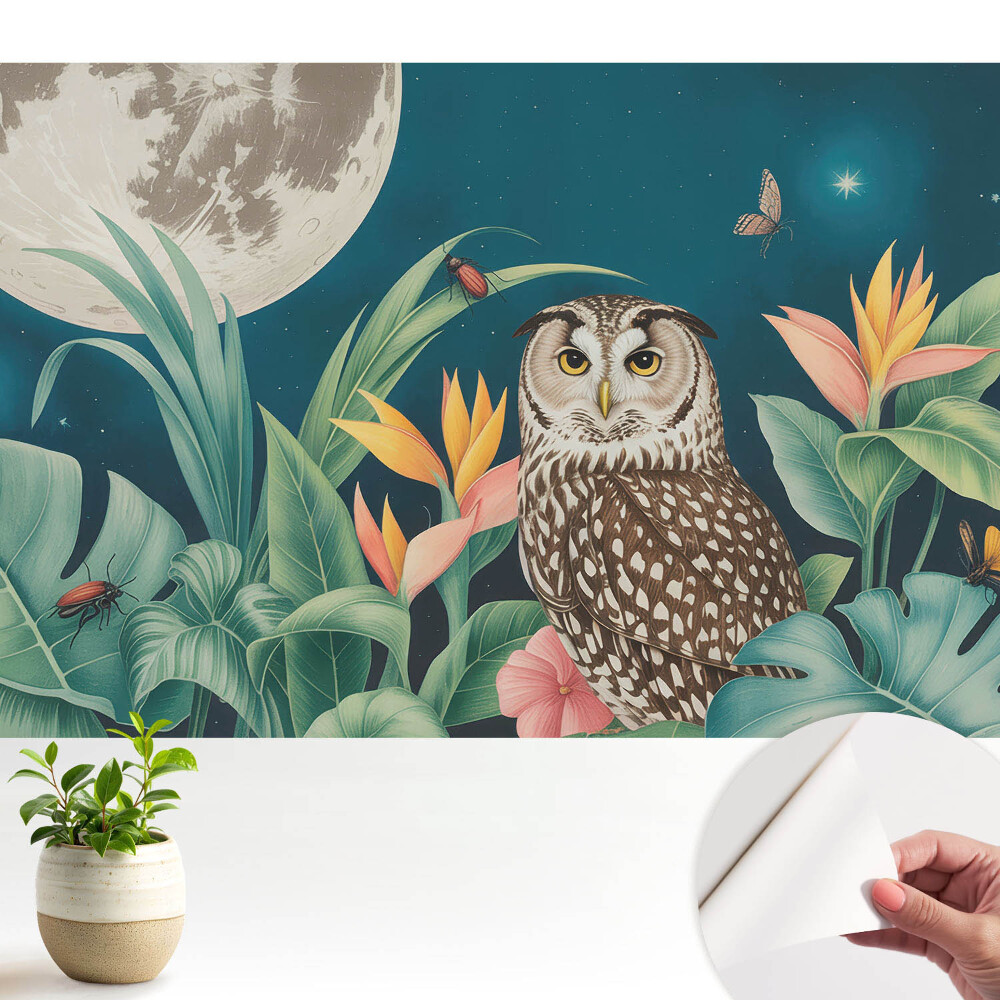 Tapeta Noční krajina se sovou a měsícem