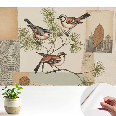 Tapeta do obývacího pokoje s motivem ptáků na větvi ve vintage koláži