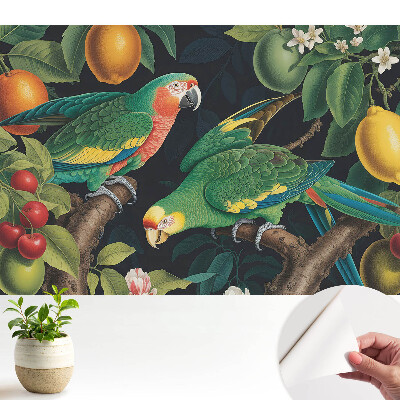 Tapeta na zeď Exotický motiv s papoušky a ovocem