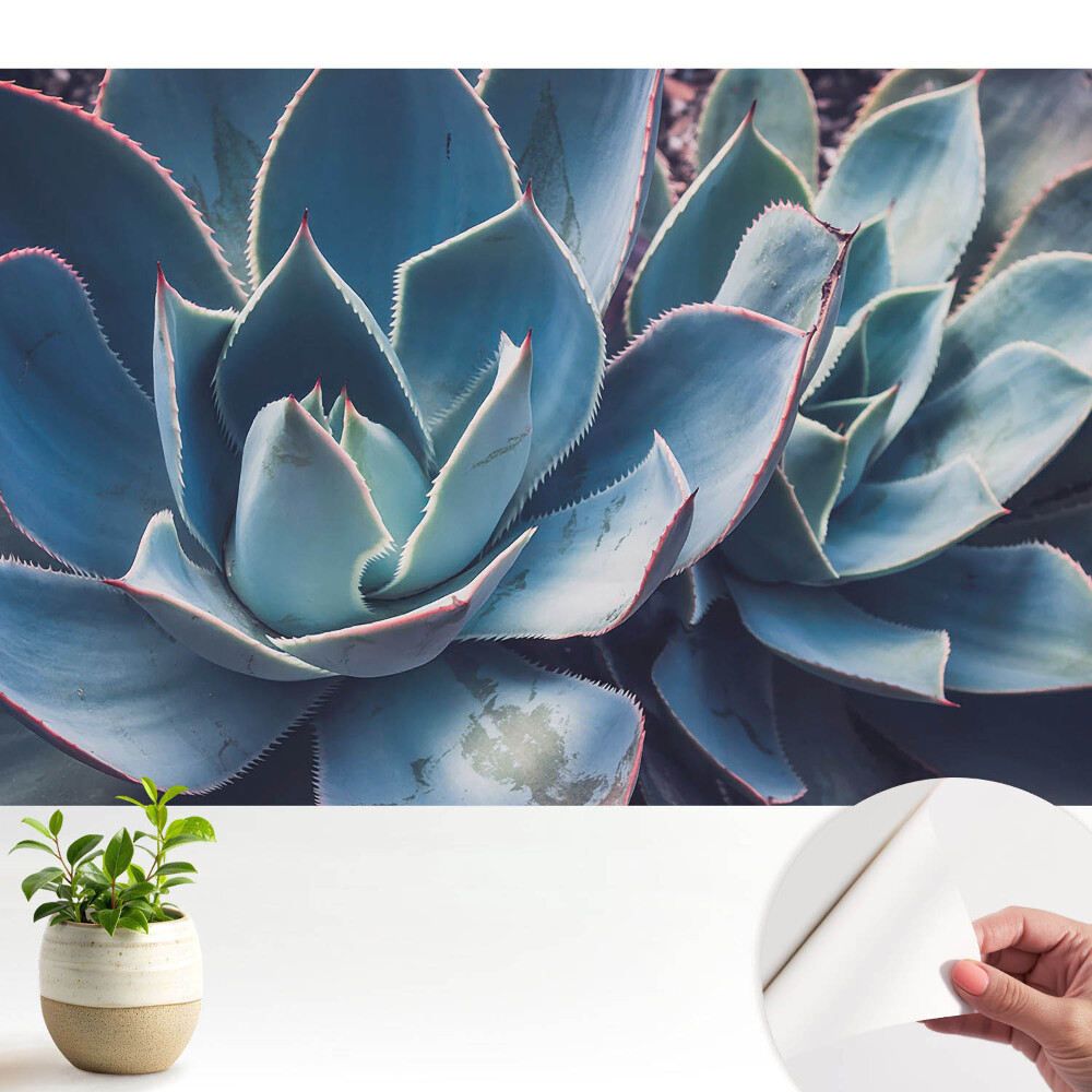 Tapeta na zeď Sukulentní listy tvoří symetrii minimalismu