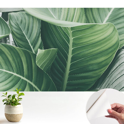 Tapeta do obyvaku Zelené listy příroda harmonie modernita