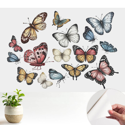 Tapeta Barevní motýli roztroušeni harmonicky