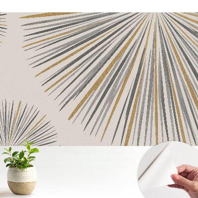 Tapeta Abstraktní vějířové linie