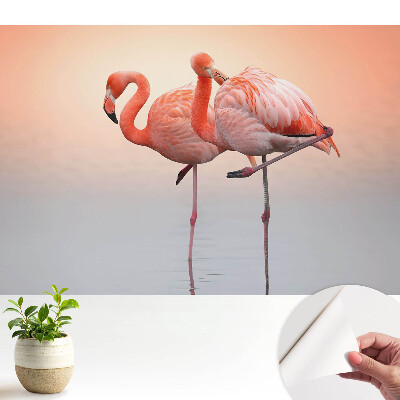 Tapeta s motivem plameňáků na pastelovém pozadí