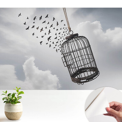 Tapeta na zeď Svoboda a mír