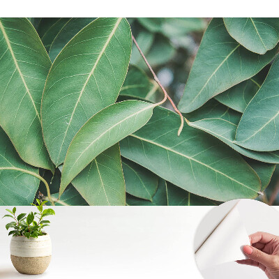 Tapeta se vzorem zelených listů v minimalistickém stylu