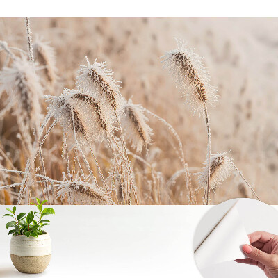 Tapeta „Mráz na trávě“ s motivem zimní přírody