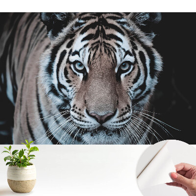 Tapeta Dynamická kompozice magnetizujícího tygra