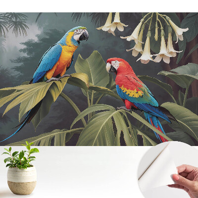 Tapeta Tropické papoušky, exotické barvy