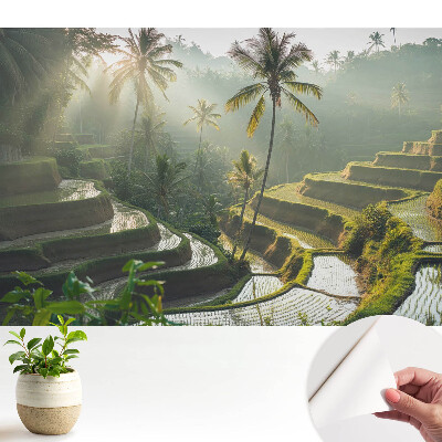 Tapeta s motivem exotických rýžových teras mezi palmami