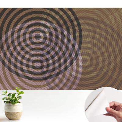 Tapeta na zeď Soustředné kruhy retro moderní