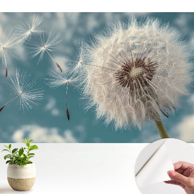 Tapeta s motivem pampelišky ve větru