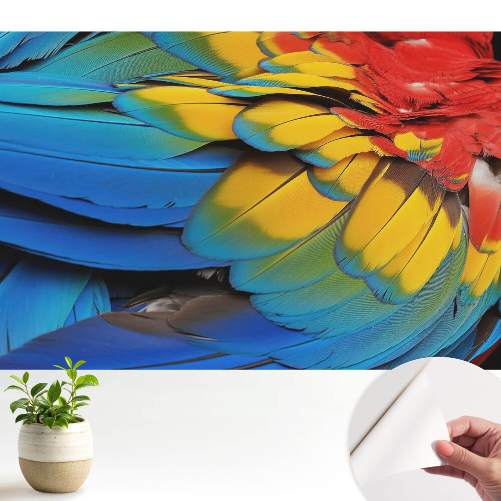 Tapeta do obyvaku Energická mozaika barevného peří