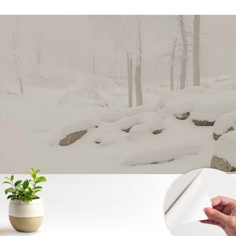 Tapeta na zeď Zimní krajina útulný les