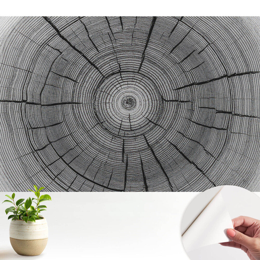 Tapeta Symetrické složení dřevěných kruhů