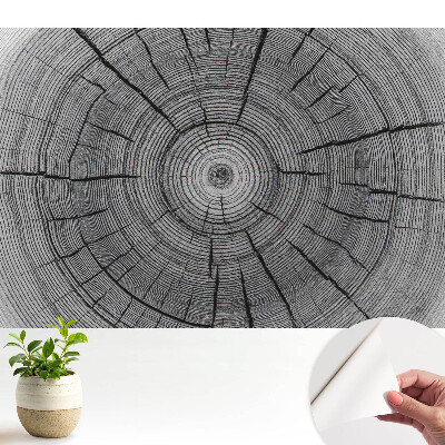 Tapeta Symetrické složení dřevěných kruhů