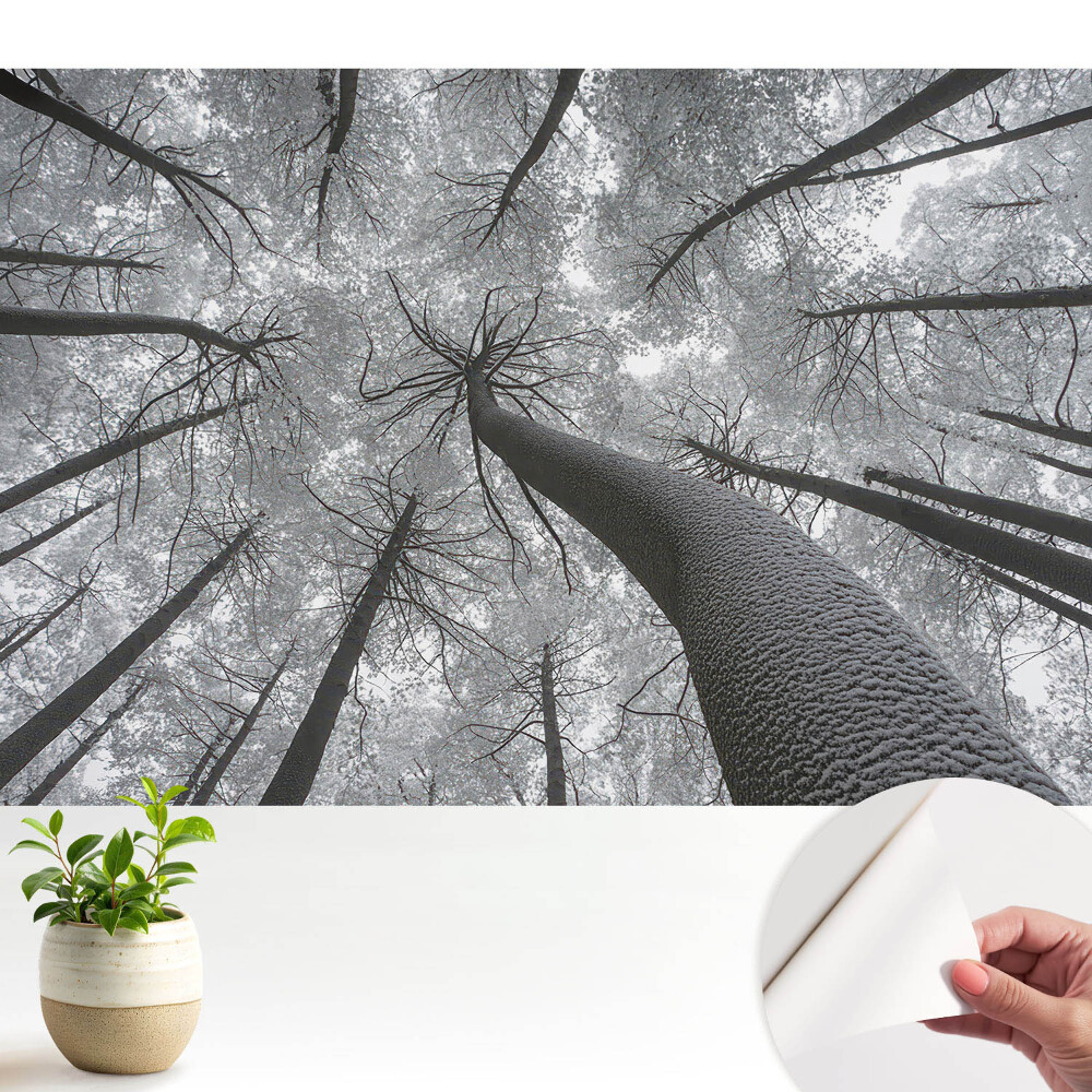 Tapeta do obyvaku Zimní les zespodu