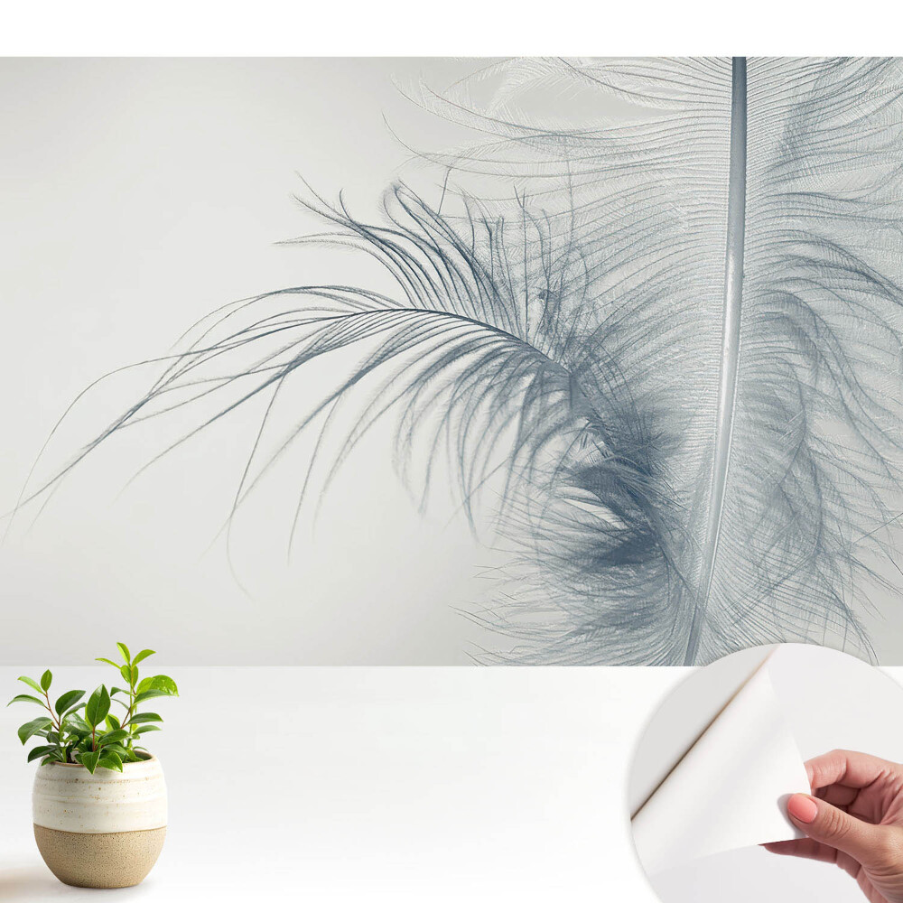 Tapeta do obyvaku Jemný motiv peří, lehkost a harmonie