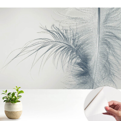 Tapeta do obyvaku Jemný motiv peří, lehkost a harmonie