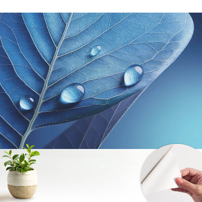 Tapeta na zeď Abstraktní list s kapkami vody