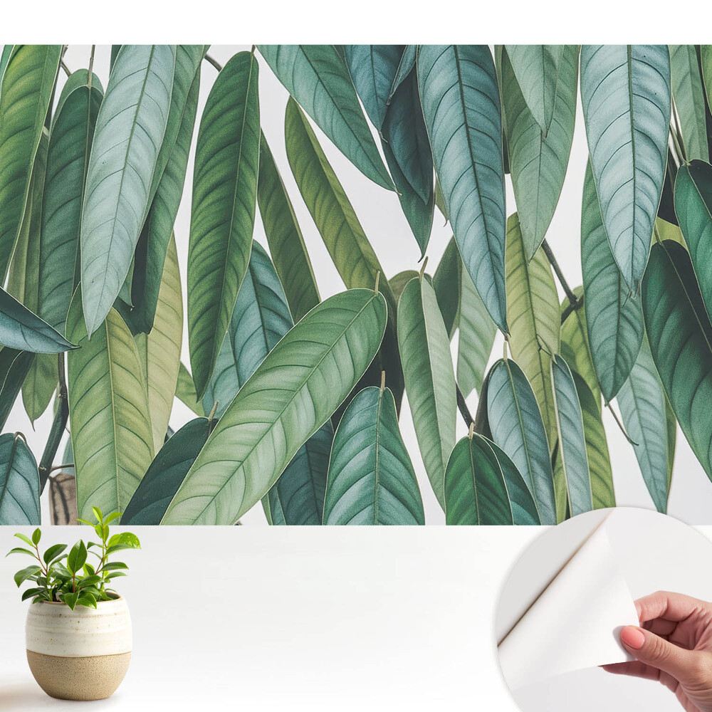 Tapeta na zeď Zelené listy minimalismus příroda