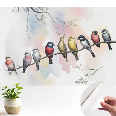 Tapeta Barevní ptáci na větvi