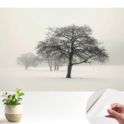 Tapeta Stromy v mlze zimní krajiny