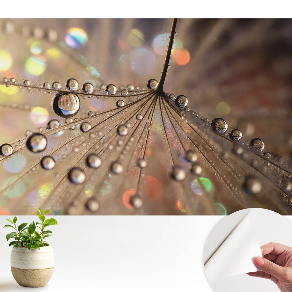 Tapeta Jemná struktura kapek roztroušených na pozadí