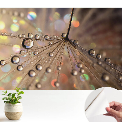 Tapeta Jemná struktura kapek roztroušených na pozadí