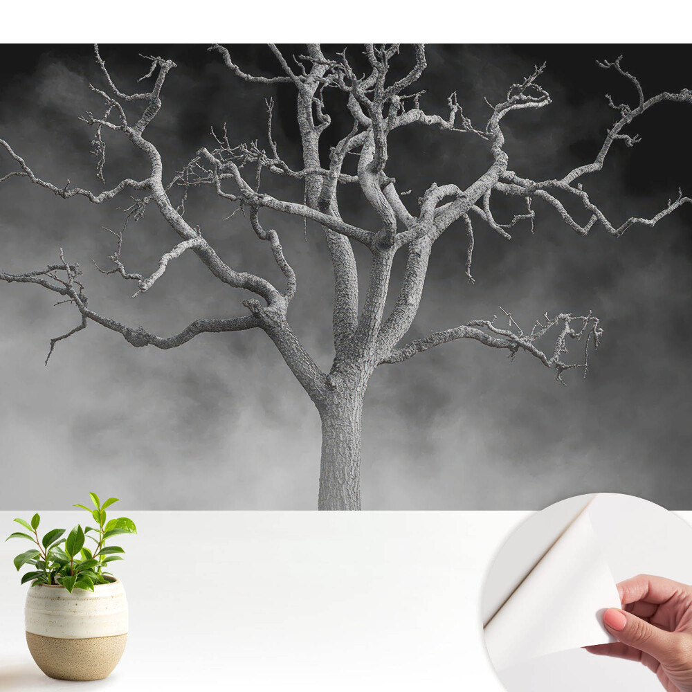 Tapeta Osamělý strom v mlze