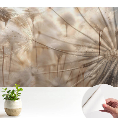 Tapeta do obývacího pokoje „Éterické pampelišky“ evokující harmonii přírody