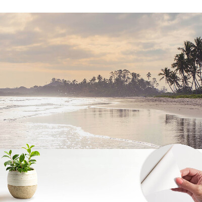 Tapeta Klidná pláž s palmami