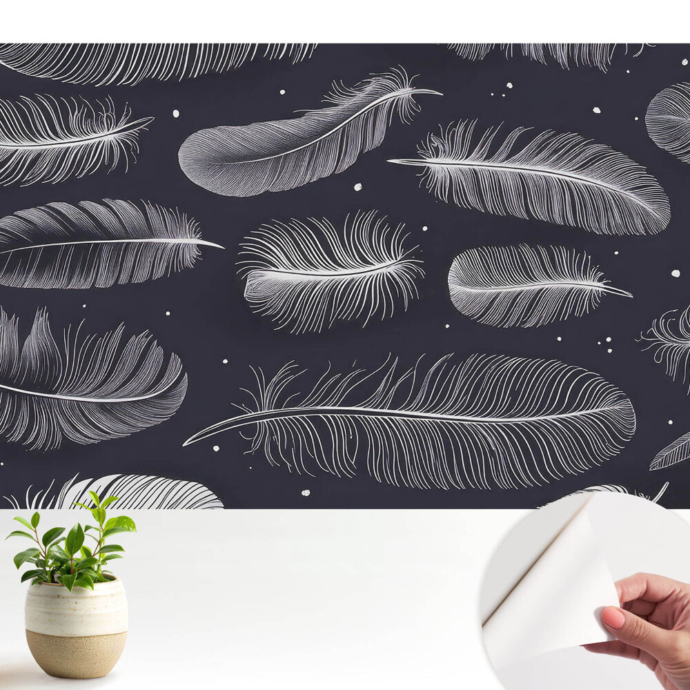Tapeta do obyvaku Peří na tmavém pozadí