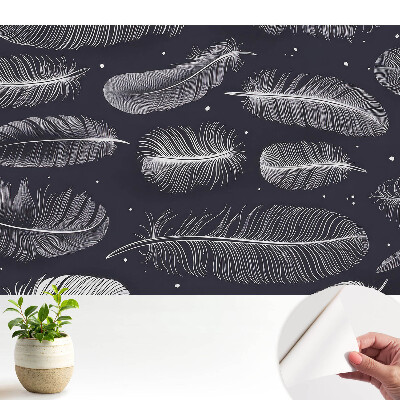 Tapeta do obyvaku Peří na tmavém pozadí