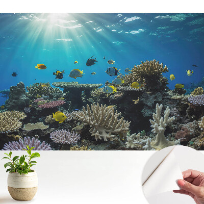 Tapeta na zeď s motivem podvodních korálů a barevných ryb