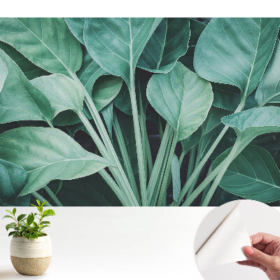 Tapeta Zelené listy přírodní harmonie