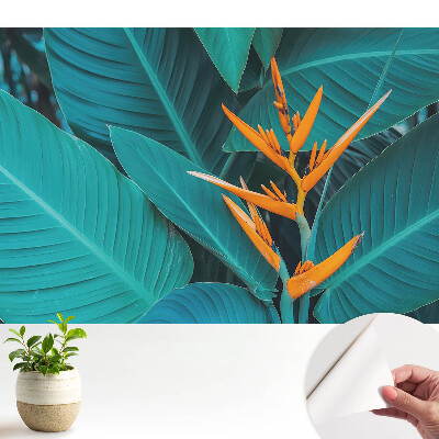 Tapeta Motiv exotických rostlin