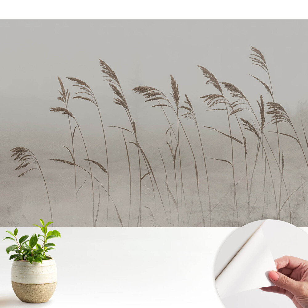 Tapeta Jemné stébla trávy v mlhavé auře