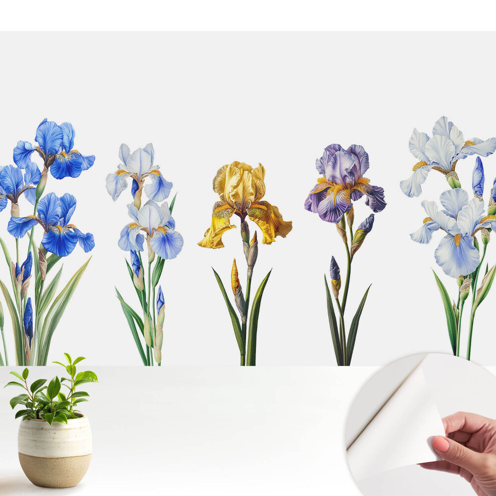 Tapeta na zeď Barevné květy kosatců na bílém pozadí
