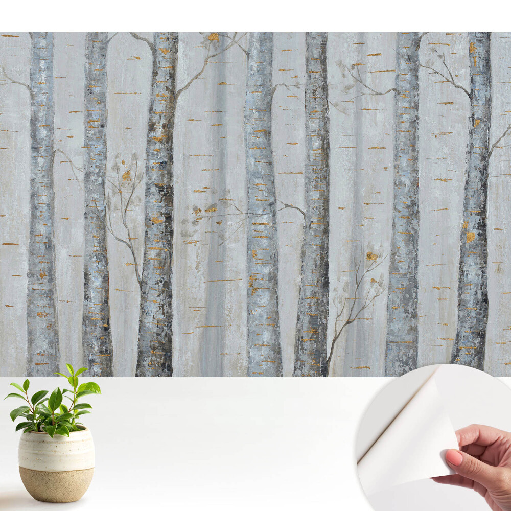 Tapeta Březový les v klasické kompozici