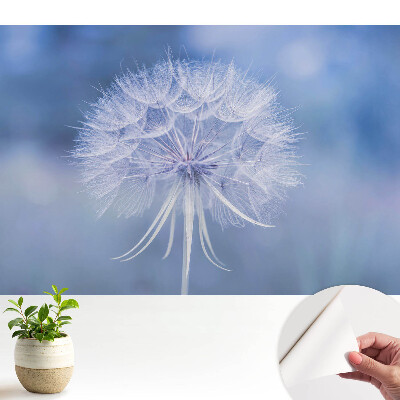 Tapeta na zeď s motivem pampelišky v modrých tónech